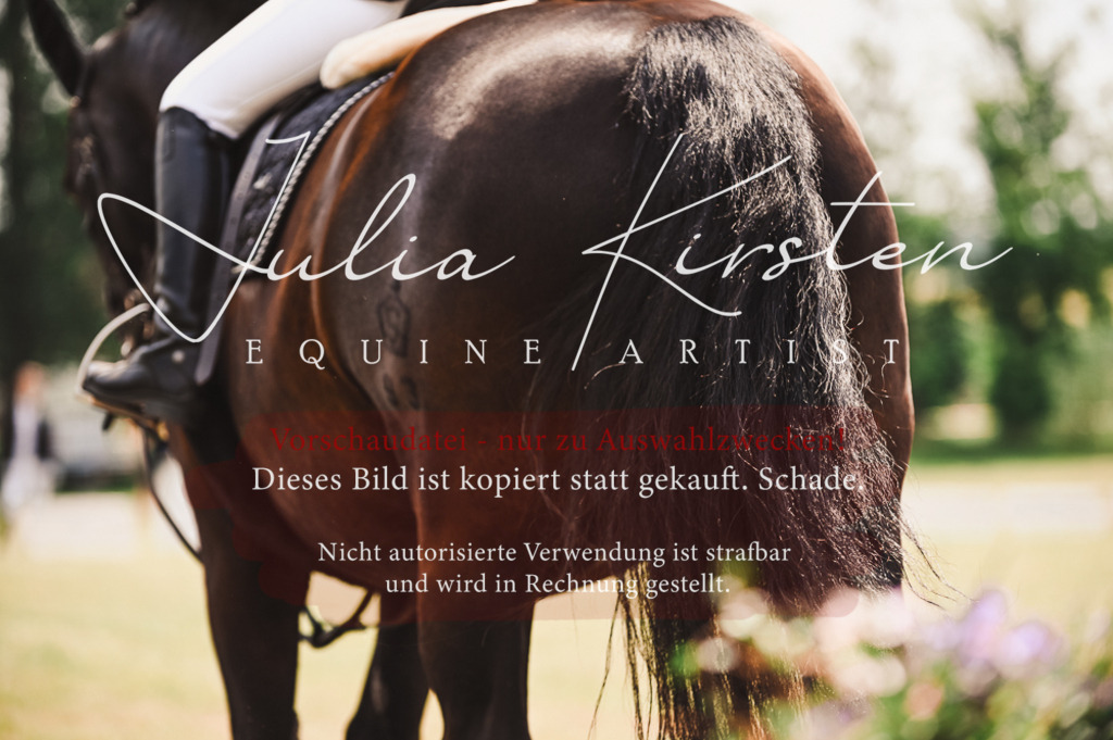DSC_6386 | Pferde- und Turnierfotografie in Westsachsen. Pferdeportraits, Auftragszeichnungen und intuitive Kunst.