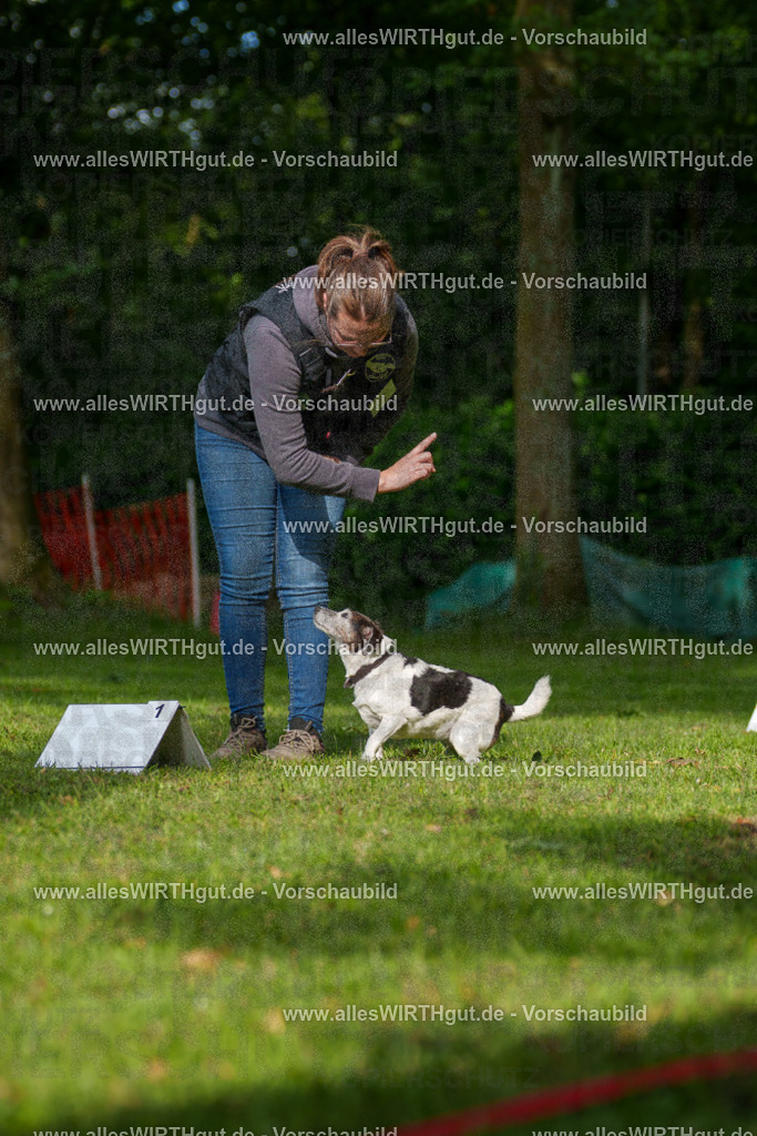 @allesWIRTHgut_Tierfotografie - www.allesWIRTHgut.de - 082944-7R506231 | Professionelle Tierfotografie in Mönchengladbach von Daniel Wirth (allesWIRTHgut). Liebevolle & natürliche Bilder von Hunden & Katzen für unvergessliche Erinnerungen.
