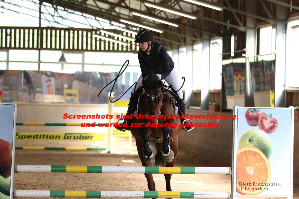 IMG_5916 | lmwpictures - Realisiert mit Pictrs.com