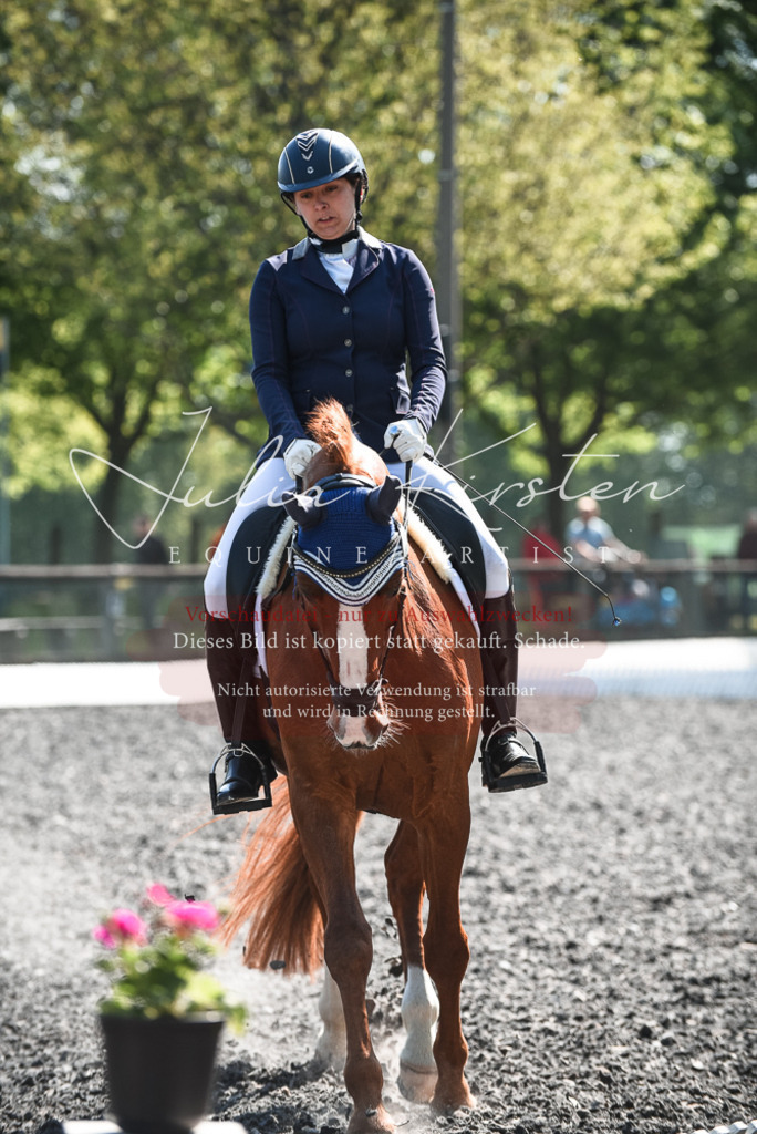 DSC_8859 | Pferde- und Turnierfotografie in Westsachsen. Pferdeportraits, Auftragszeichnungen und intuitive Kunst.
