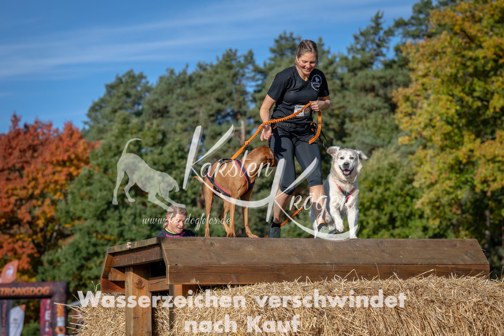 1026_ZZ90418 | kk-dogfotos
