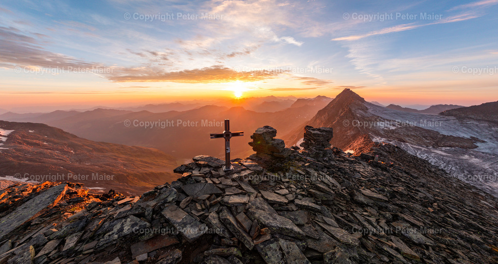 Goldzechkopf | default