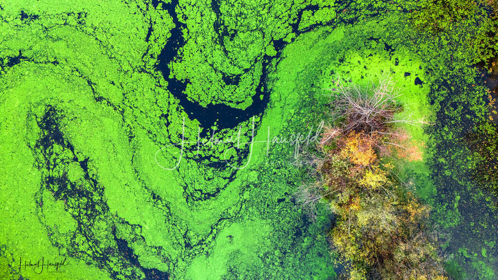 DJI_20241025165428_0069_D-HDR | Landschaftsfotografie, Naturfotografie - Realisiert mit Pictrs.com