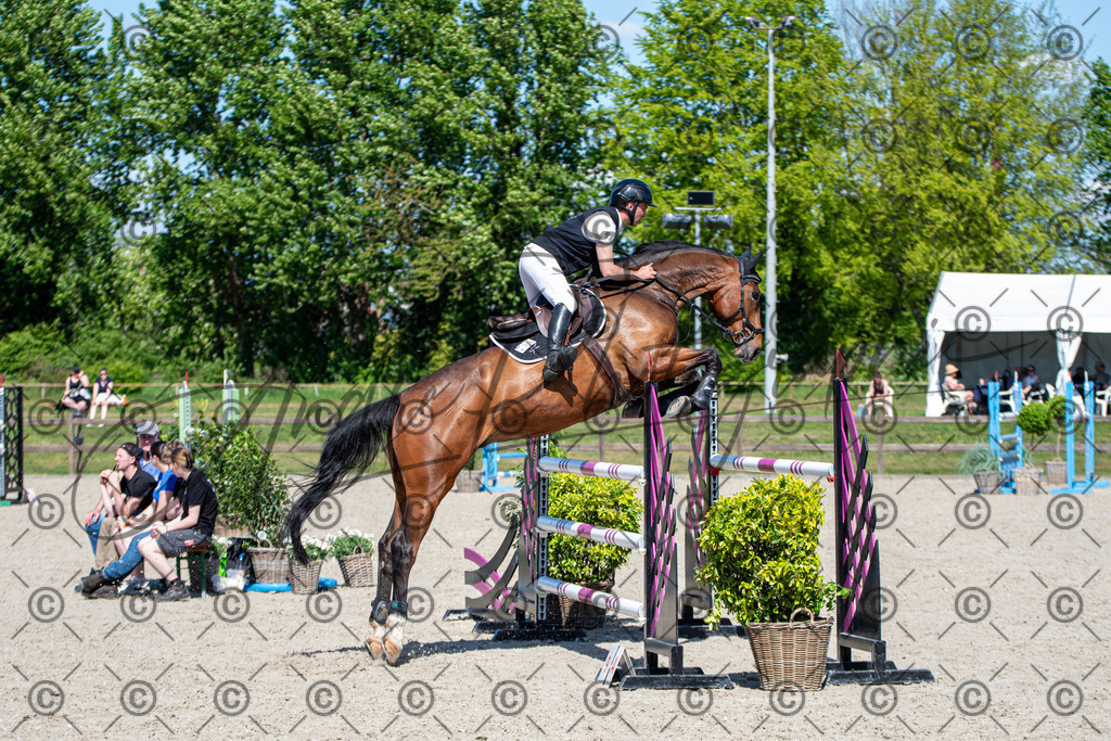 KPT_1365 | andre_photographic