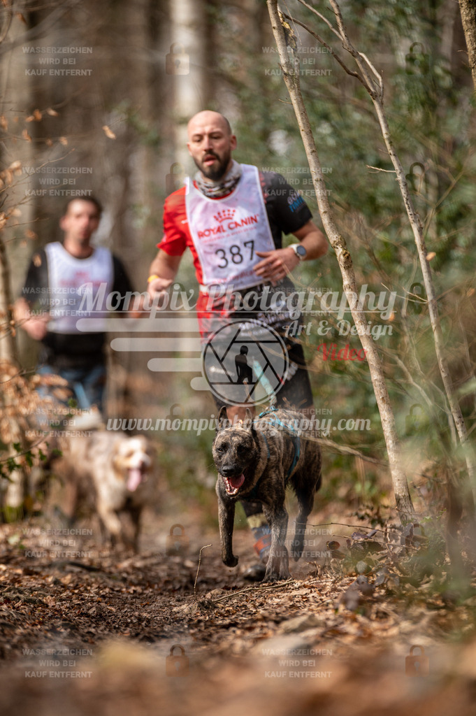 SPA_2023_DIM_CCK-207 | PayLife