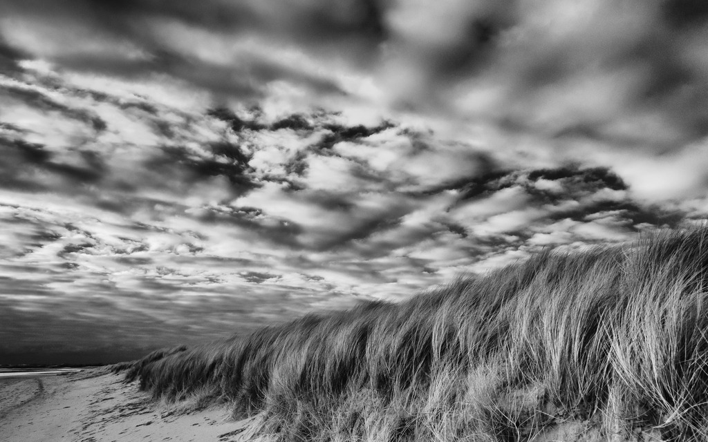2018-562-Verbessert-SR | Dünen, Heide, weiter Sandstrand und das Meer prägen im Norden der Insel Sylt das Naturschutzgebiet Ellenbogen. Das Bild  zeigt die sturmgeprägte Dünenlandschaft südlich der Ellenbogenspitze an einem windigen Tag im Dezember. - Realisiert mit Pictrs.com