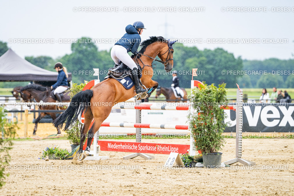 DSC07435 | Pferdegrafie