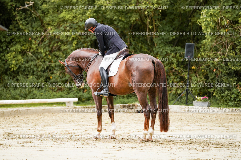 DSC03809 | Pferdegrafie