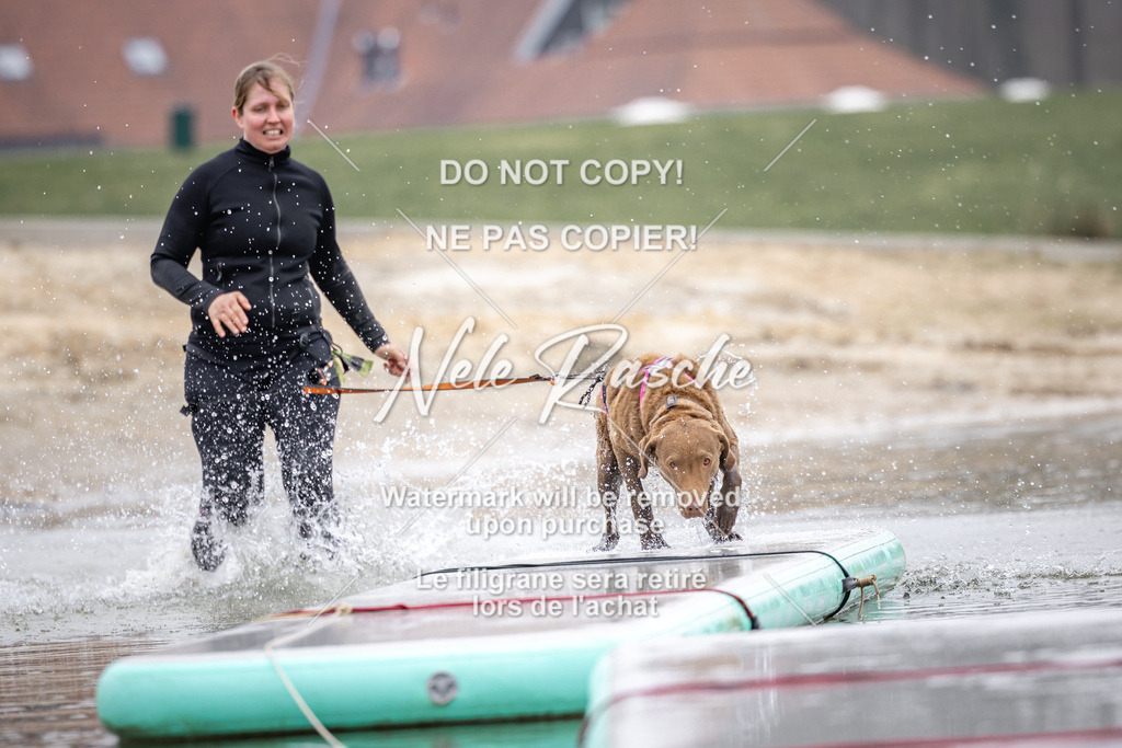 nelerasche_Hulsbeek_Sa1030-1100_743 | nelerasche