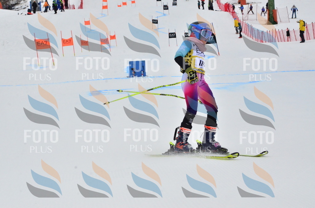 _ELE3629 | holidayphoto