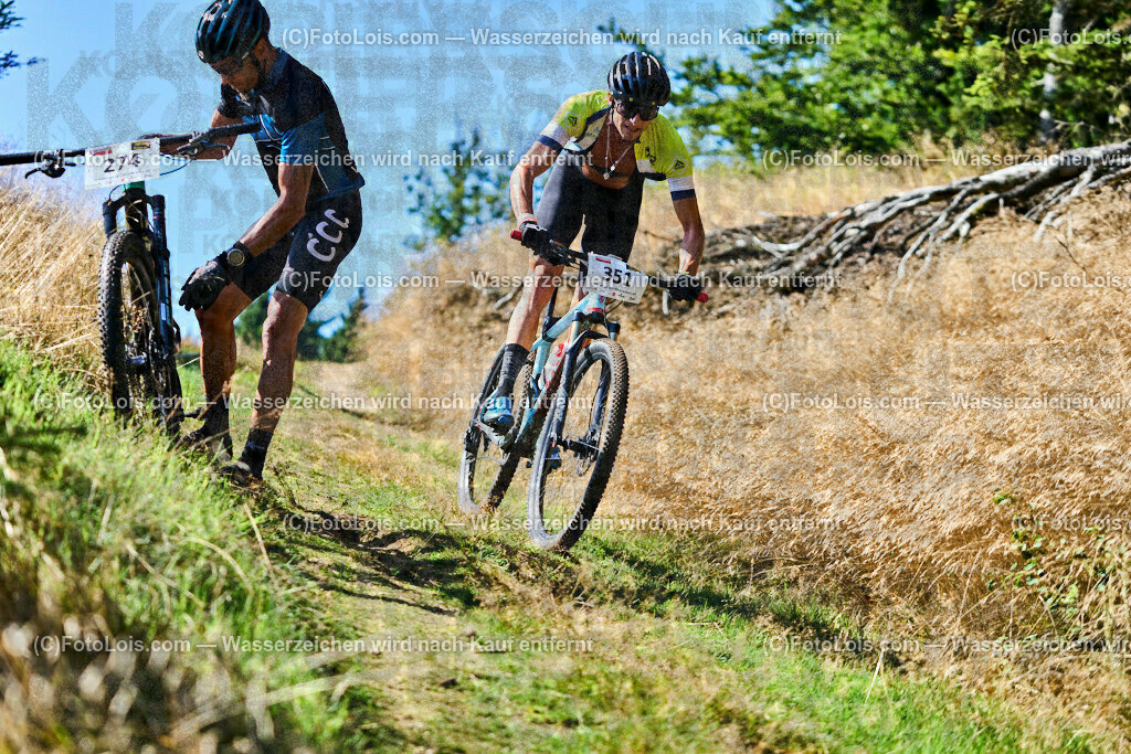 ALP6196_XXIX_GRANITBEISSER_Medium_Halbmayr Hannes | (C)FotoLois.com, Alois Spandl, 29. GRANITBEISSER - Mountainbike-Marathon in St. Georgen am Walde, MEDIUM 39,5 km, Sa 2. September 2023.