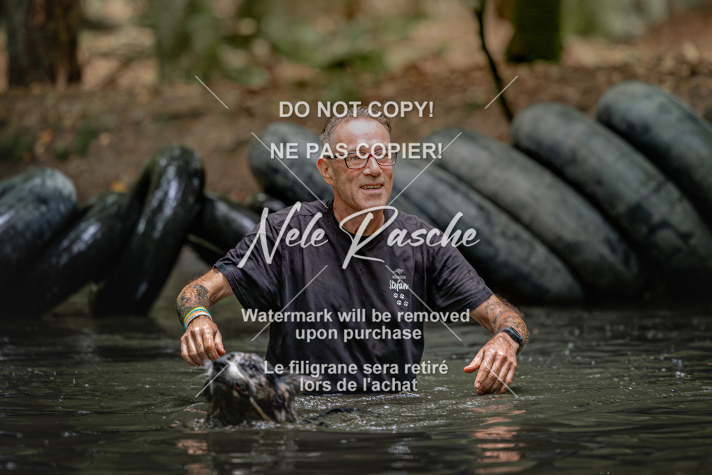 nelerasche_SaWingst1200-1230_76 | nelerasche