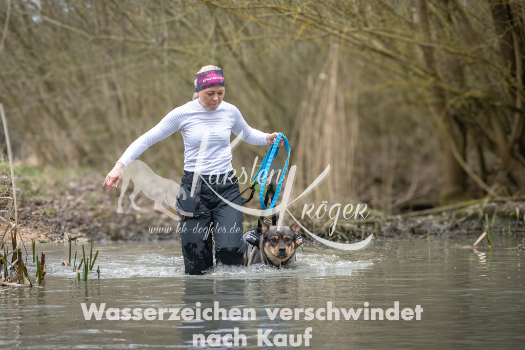 1016_ZZ97831 | kk-dogfotos