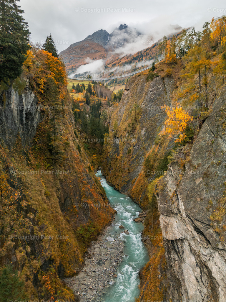 Hängebrücke_Iselschlucht_Herbst_2024-35 | piet_flosse