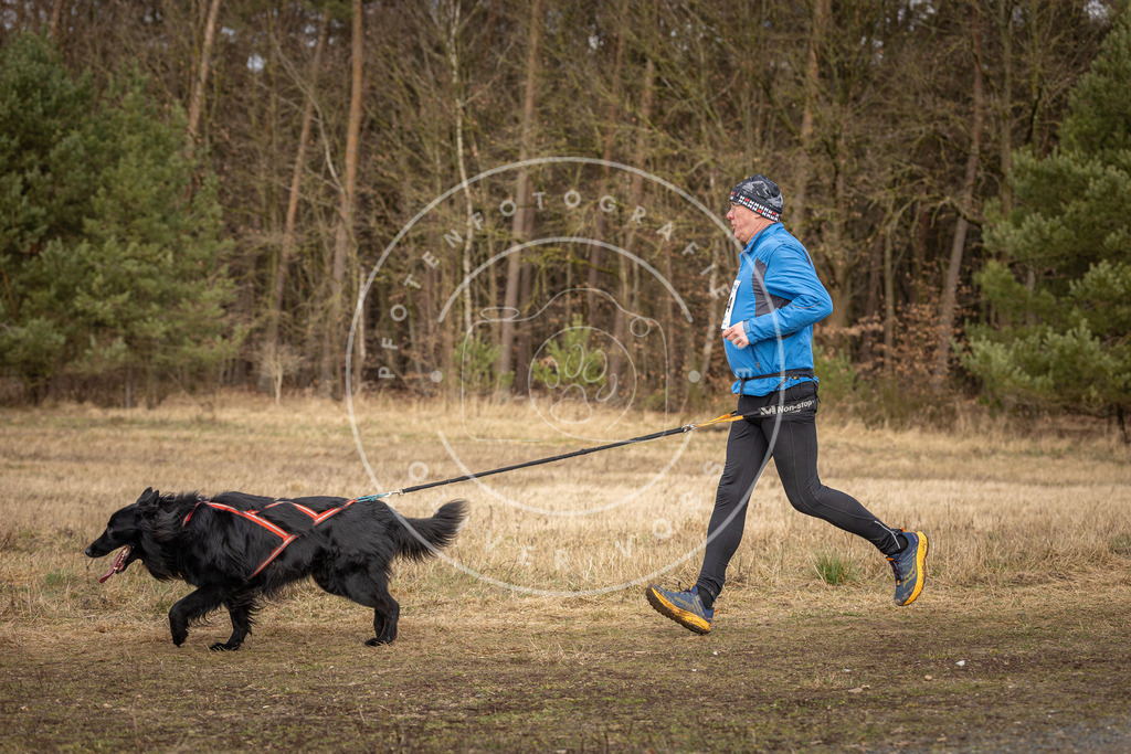 DV3A4177 | Hundefotografie, Tierfotograf, Pfotenfotografie, Fotoshooting Hund, Hunde Portrait, Hundesport, Hundeportraits, Heideshooting, Hunde, Sportfotograf, Hundefotograf, Turnierhundsport, THS,  - Realisiert mit Pictrs.com