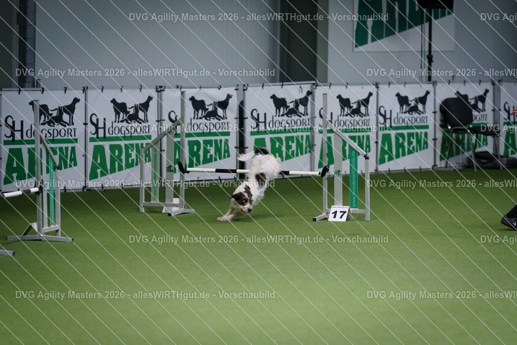 allesWIRTHgut_Tierfotografie-DVG_Agility_Masters_2026-09_35-7R509458 | Professionelle Tierfotografie in Mönchengladbach von Daniel Wirth (allesWIRTHgut). Liebevolle & natürliche Bilder von Hunden & Katzen für unvergessliche Erinnerungen.