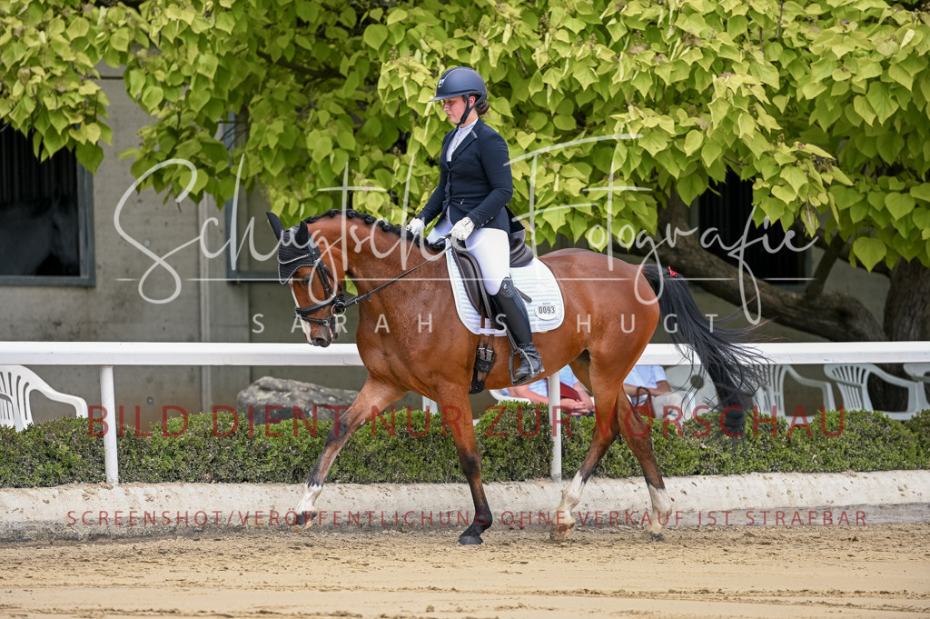 Schugtsche-Aluta25-48.Reitpferfdeprf.-135 | Schugtsche Fotografie - Realisiert mit Pictrs.com