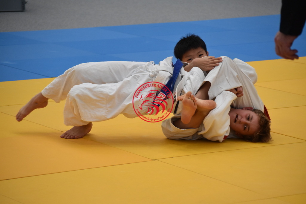 DSC_3097 | Fotos vom Adler Cup - Pictures from Adler Cup

Hier findet Ihr alle Eindrücke und großen Momente der Adler Cup Wochenenden. Here you will find all impressions and great moments of the Adler Cup weekends. - Realisiert mit Pictrs.com