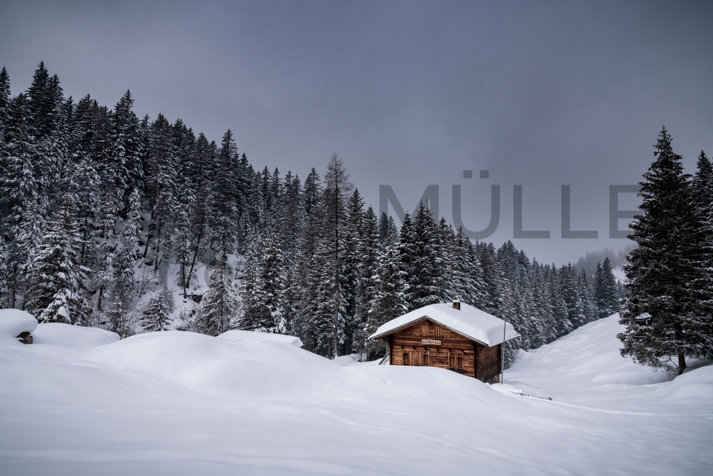 DSC00571 | Tinu Müller Fotografie- Bildershop - Realisiert mit Pictrs.com