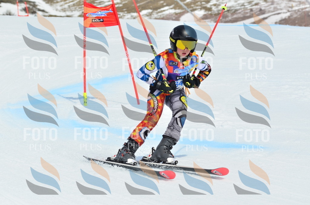 _ELE2552 | holidayphoto