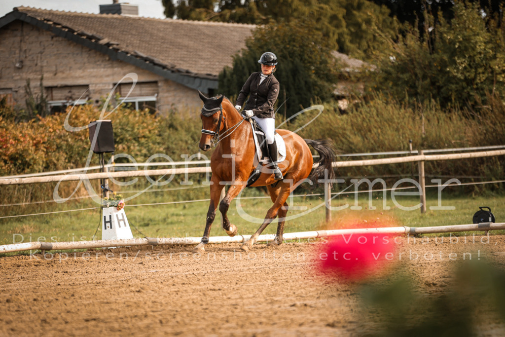 17.SoDrM00082 | Leoni Ertmer Photography - Realisiert mit Pictrs.com