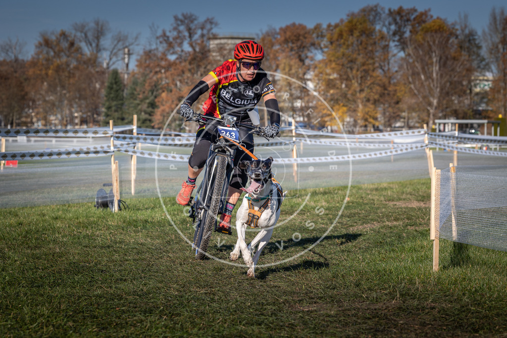 CaniXpix_0L8A5033 | Hundefotografie, Tierfotograf, Pfotenfotografie, Fotoshooting Hund, Hunde Portrait, Hundesport, Hundeportraits, Heideshooting, Hunde, Sportfotograf, Hundefotograf, Turnierhundsport, THS,  - Realisiert mit Pictrs.com