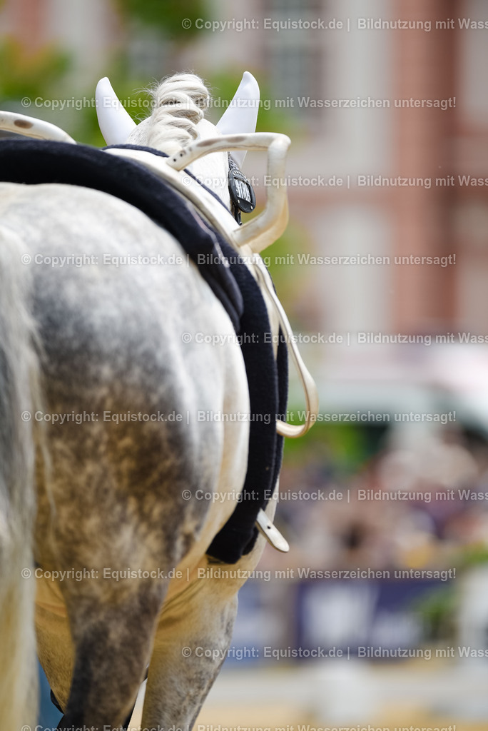 20250608_CVI-Masterclass_0115 | Foto: Thomas Hartig