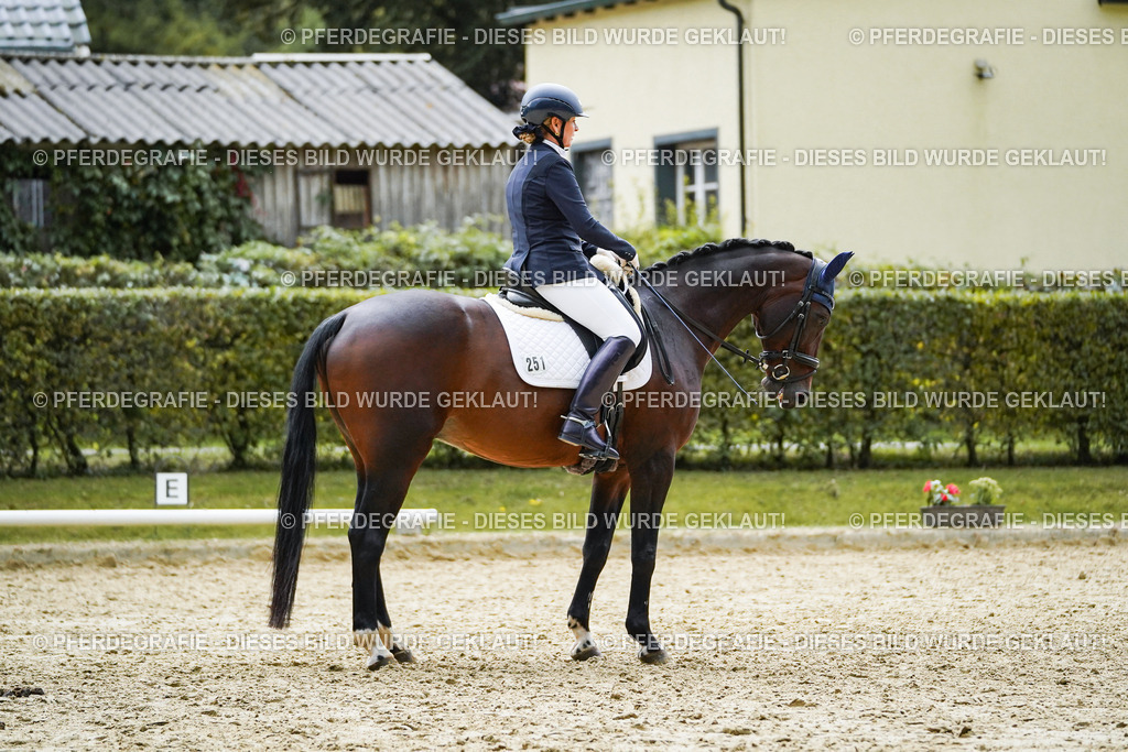 DSC09992 | Pferdegrafie