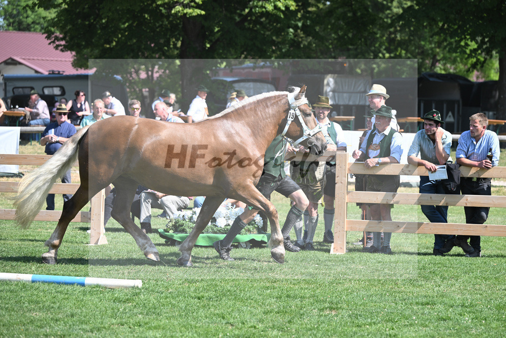 Kat-Nr. 19 Madrid_Bachmair_20230280 | hf-fotografie - Realisiert mit Pictrs.com