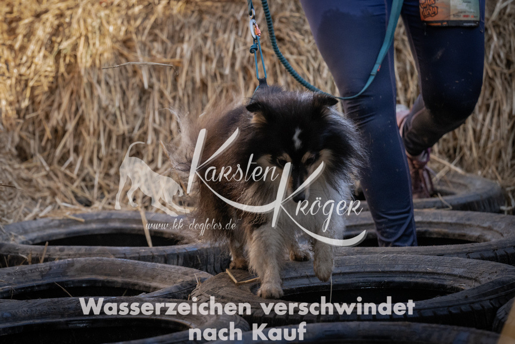 1125_ZZ91610 | kk-dogfotos