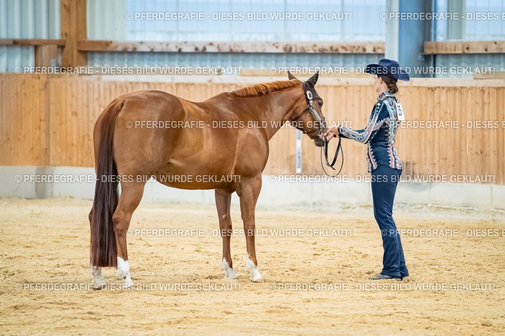 DSC09679 | Pferdegrafie