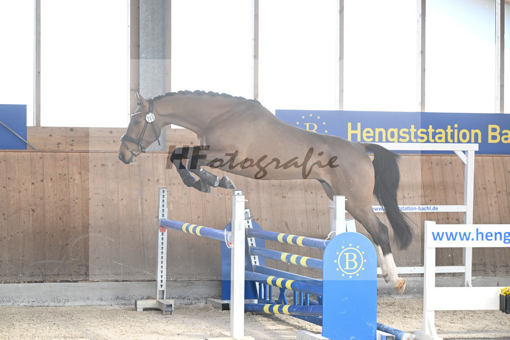 Kat-Nr. 10 Vigaronit v. Vigaro_Feichtner_14261948 | hf-fotografie - Realizzato con Pictrs.com