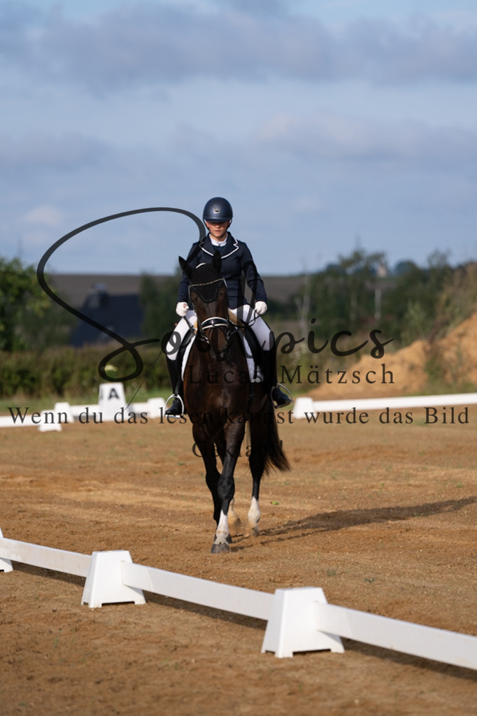 A7V03687 | Turnier/Reitfotograf
