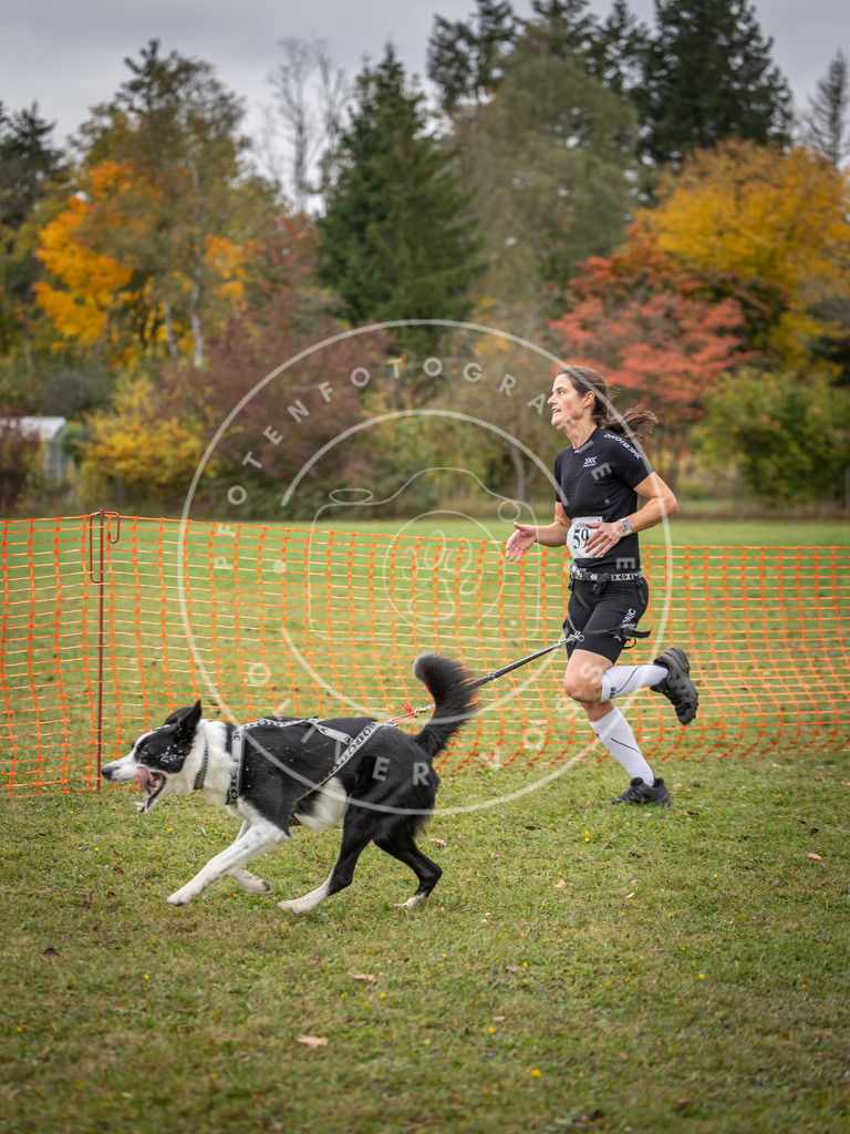 Pfotenfotografie_DV3A2640 | Hundefotografie, Tierfotograf, Pfotenfotografie, Fotoshooting Hund, Hunde Portrait, Hundesport, Hundeportraits, Heideshooting, Hunde, Sportfotograf, Hundefotograf, Turnierhundsport, THS,  - Realisiert mit Pictrs.com