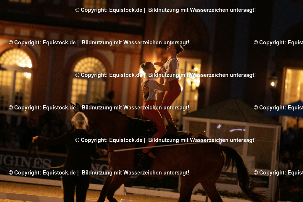 20230527_Voltigieren_NASPA_Flutlicht_0730 | equistock