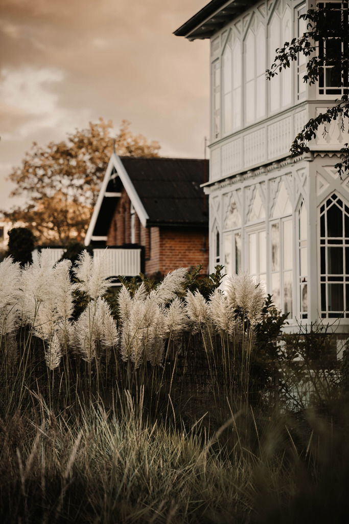 DSC_3832 | Du suchst natürliche und atmosphärische Prints oder Leinwanddrucke? In diesem Shop gibt es alles, nur kein Mainstream. - Realisiert mit Pictrs.com