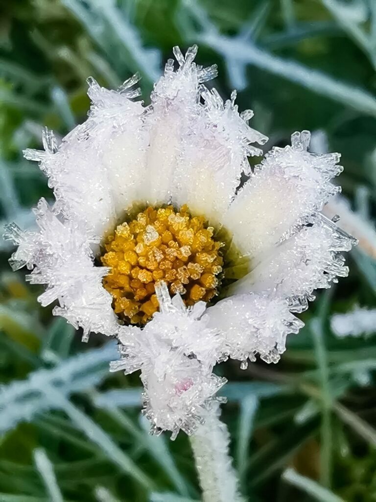 PSX_20221206_153607 | mtkfoto_ - Realisiert mit Pictrs.com