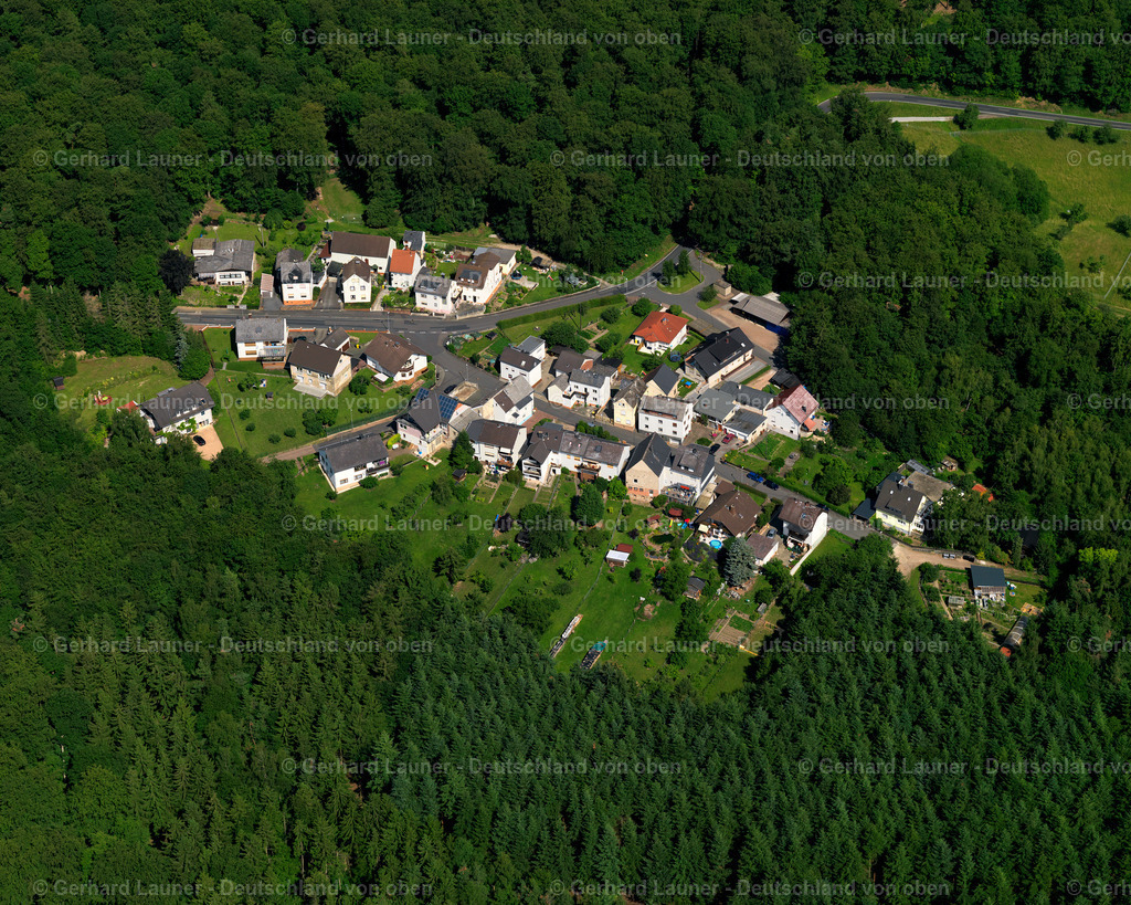 3126650 | Bonscheuer