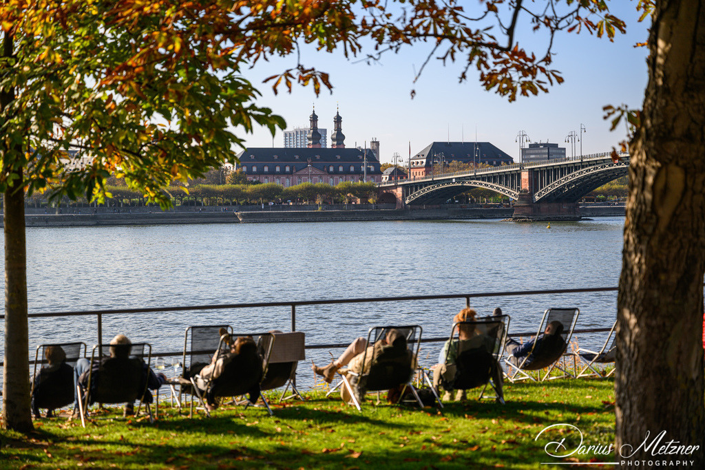 DSC_7254 | Fotografien, Fotos und Bilder aus Mainz, Frankfurt, Wiesbaden und anderen Orten auf der Welt - Fotografiert von Darius Metzner