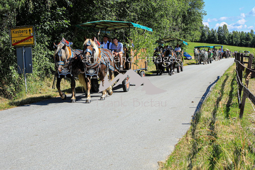 OE7A5537 | Seit Jahrzehnten gibt es diese eindrucksvolle Pferdeveranstaltung der Pferdefreunde Rinchnach. Der Ursprung, bei der Gedächtnisfahrt an bereits verstorbene Pferdefreunde zu erinnern ist bis heute geblieben.