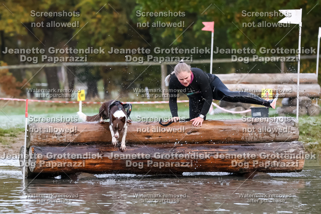 Dog Paparazzi - Strongdog 10-25-6227 | Dog Paparazzi Jeanette Grottendiek Fotografie & Videografie - Realisiert mit Pictrs.com