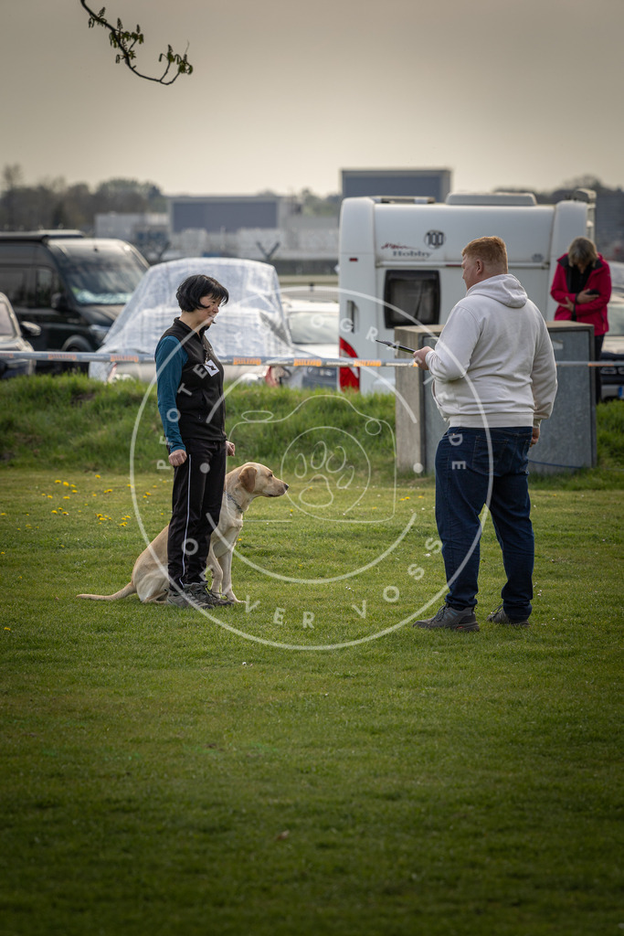 Pfotenfotografie_DV3A4913 | Hundefotografie, Tierfotograf, Pfotenfotografie, Fotoshooting Hund, Hunde Portrait, Hundesport, Hundeportraits, Heideshooting, Hunde, Sportfotograf, Hundefotograf, Turnierhundsport, THS,  - Realisiert mit Pictrs.com