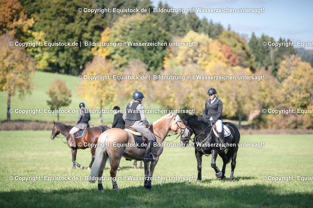 20251011_Jagd-Marbach_0443 | Foto: Thomas Hartig