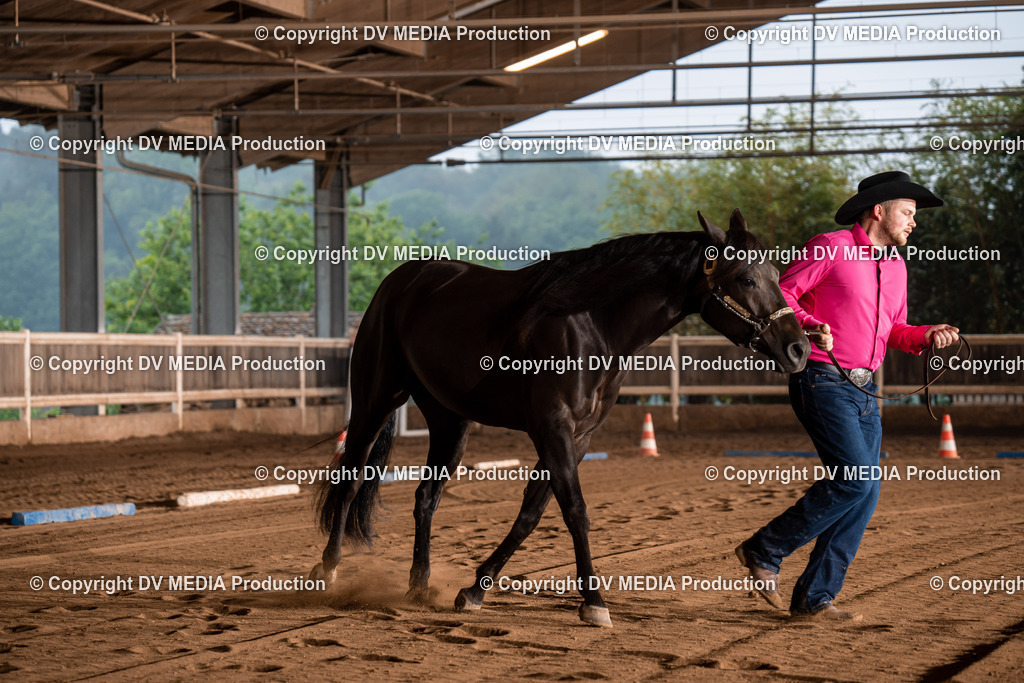 Erbach Tag 2-110 | dv-media-shop - Realisiert mit Pictrs.com