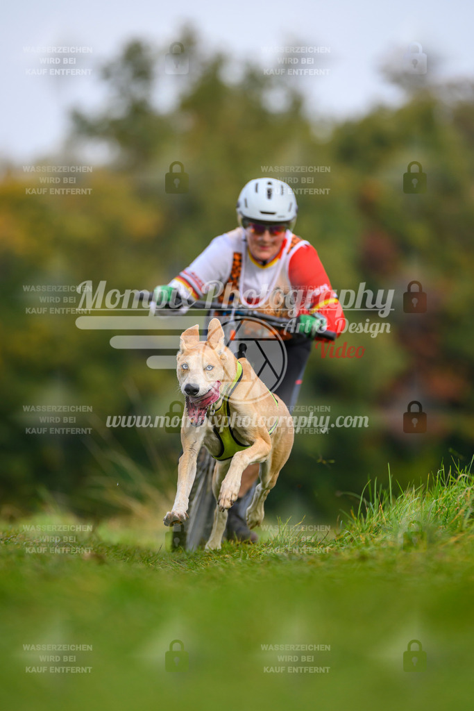 MompixPhotography_CDLBDB2025_DI_DS-76 | PayLife