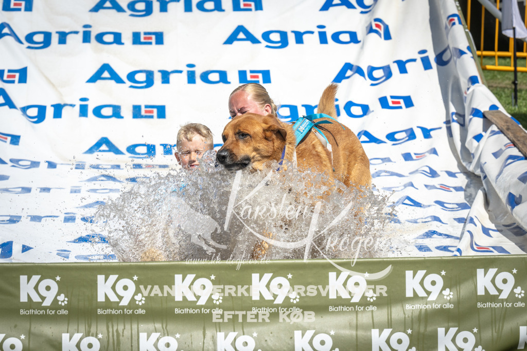 1356_ZZ91882 | kk-dogfotos
