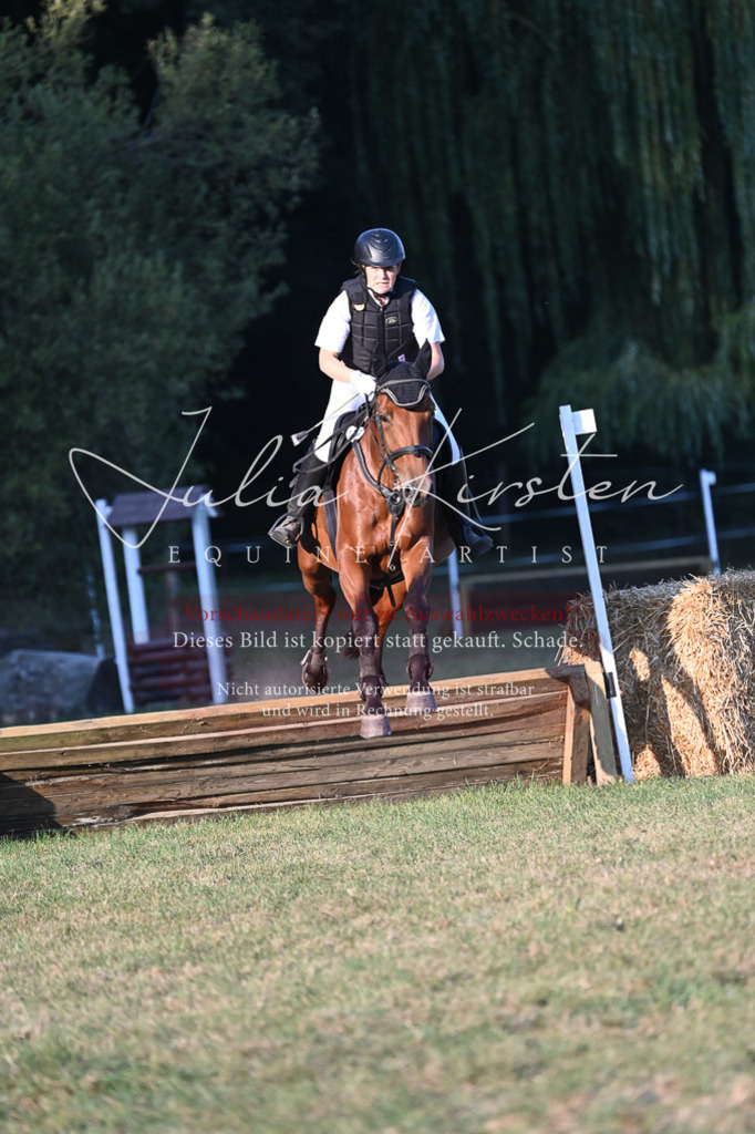 DSC_9219 | Pferde- und Turnierfotografie in Westsachsen. Pferdeportraits, Auftragszeichnungen und intuitive Kunst.