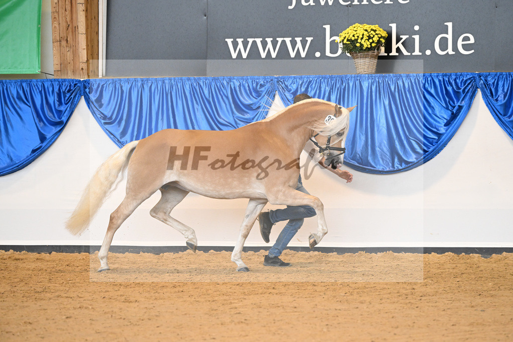 Kat-Nr. 303 Balea_Werthmann_54223232 | hf-fotografie - Realisiert mit Pictrs.com