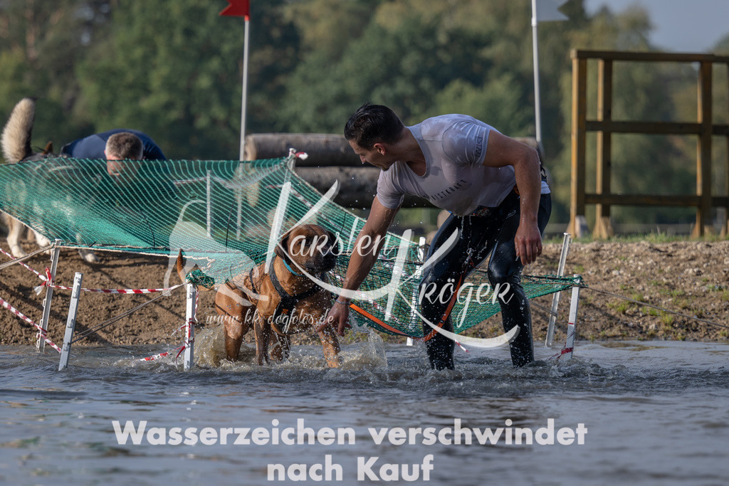 1040_ZZ94622 | kk-dogfotos
