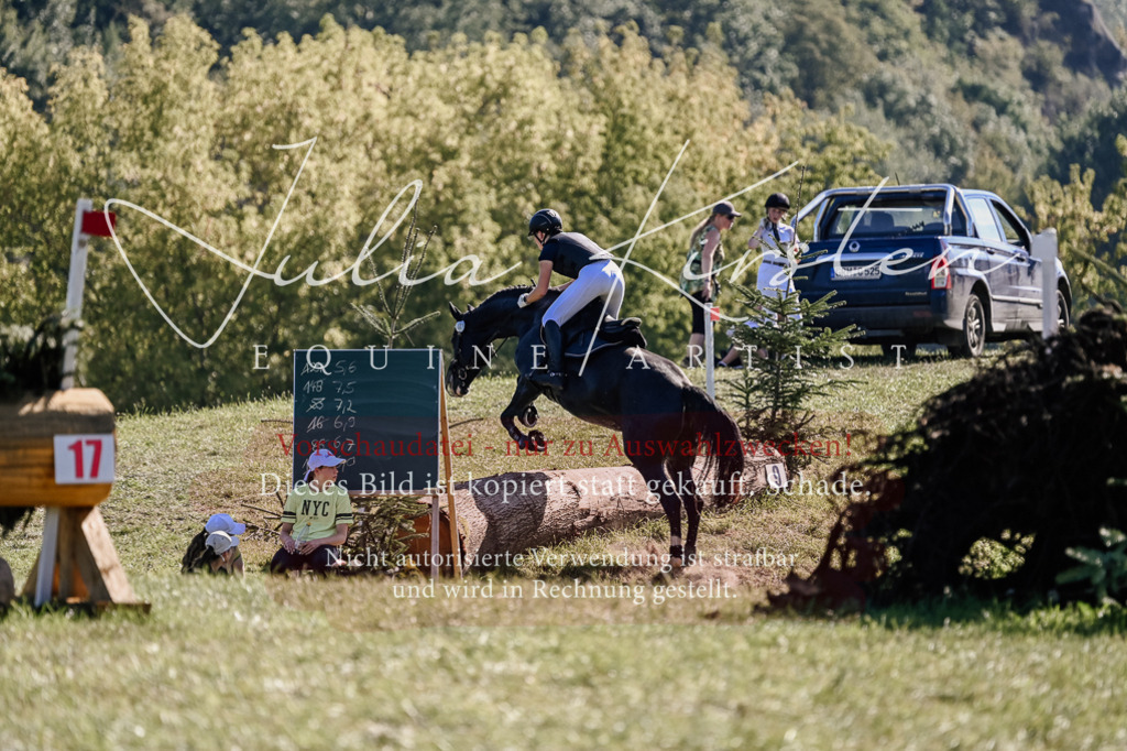 DSC_3584 | Pferde- und Turnierfotografie in Westsachsen. Pferdeportraits, Auftragszeichnungen und intuitive Kunst.